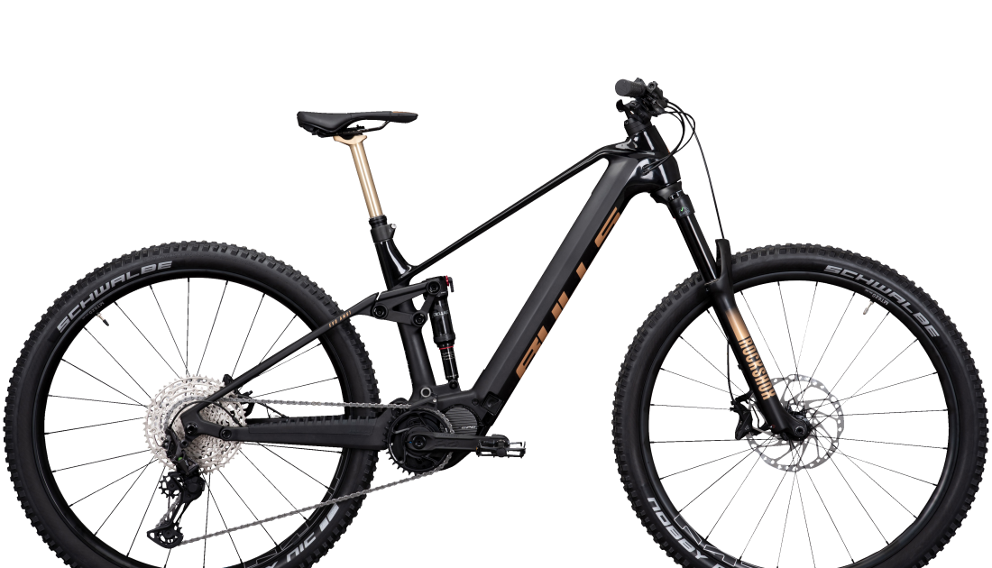 Sonic EVO AMSL 1 Carbon 29* 750Wh
